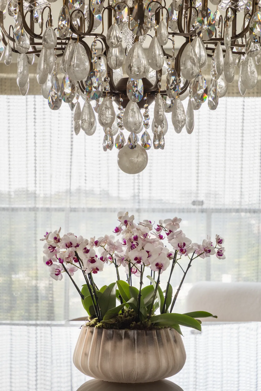 Apartamento Pintassilgo, Parque Global